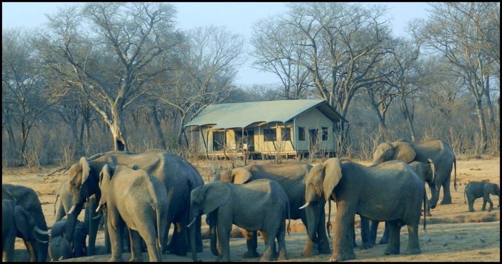 zambia