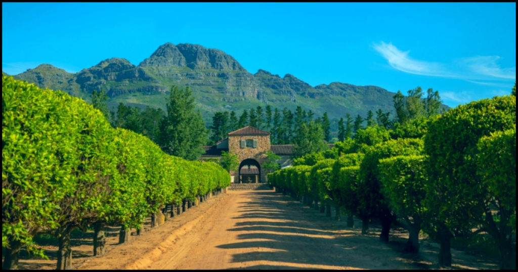 Stellenbosch