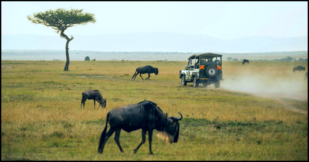 Best African Safari Parks and Destinations