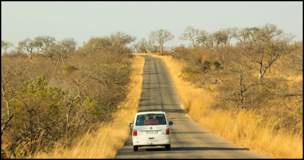 kruger national park
