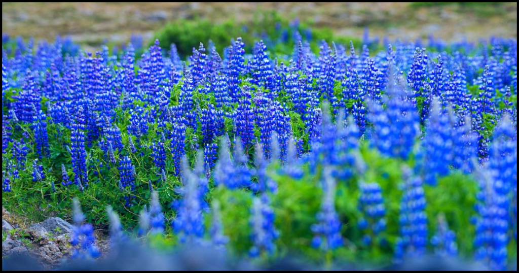 Best Time to Visit Iceland