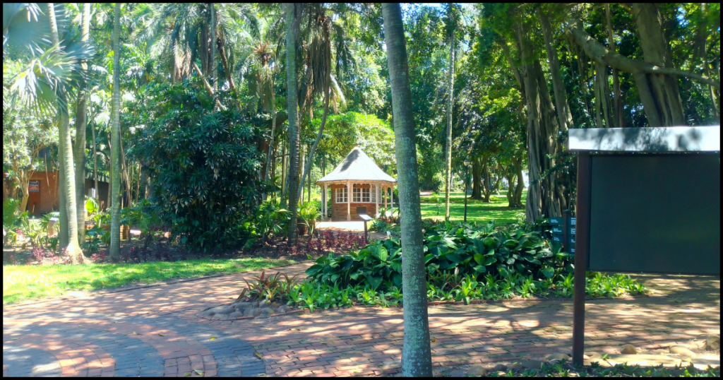 Durban Botanic Gardens: The Best Relaxing Place in Durban