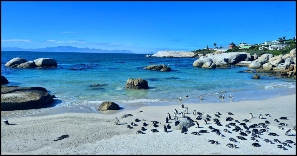 Best Places to Visit in Cape Town and its Surroundings