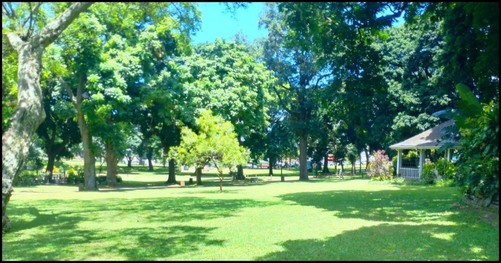 Mitchell Park Durban Relaxing Places to Visit