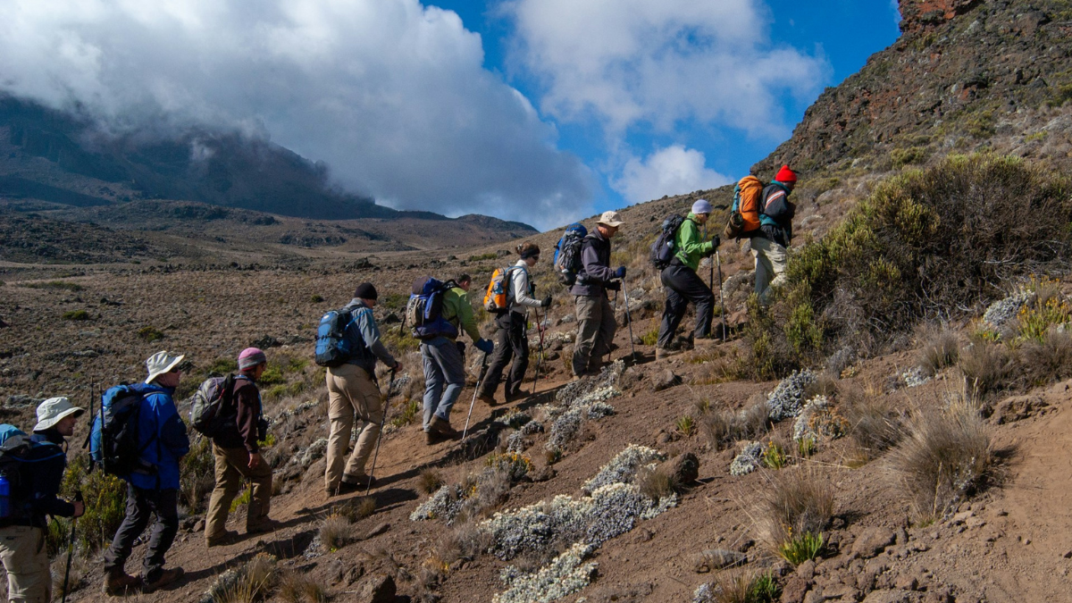 Kilimanjaro, Tanzania Great Places To Visit In Africa