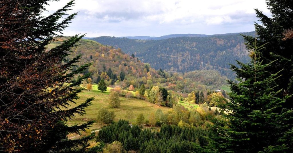 Vosges Mountains