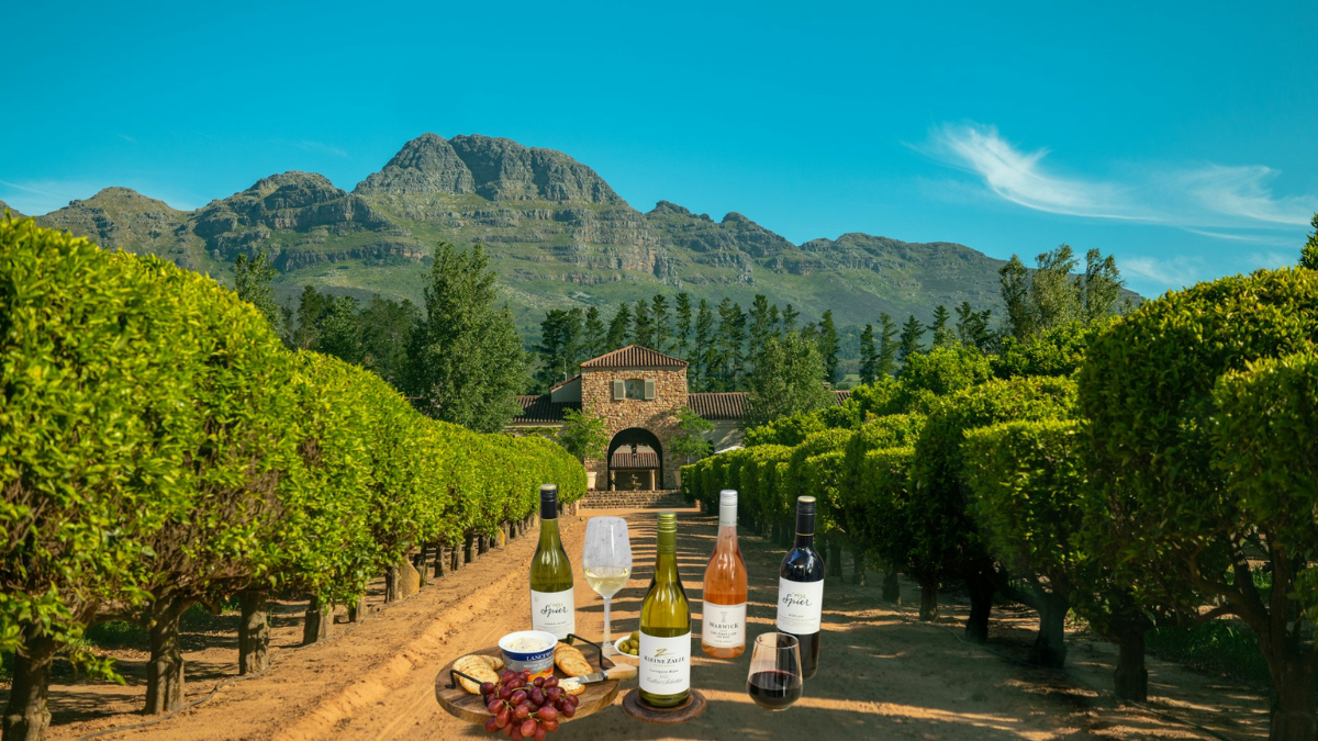 Best Wineries In South Africa You Should Not Miss