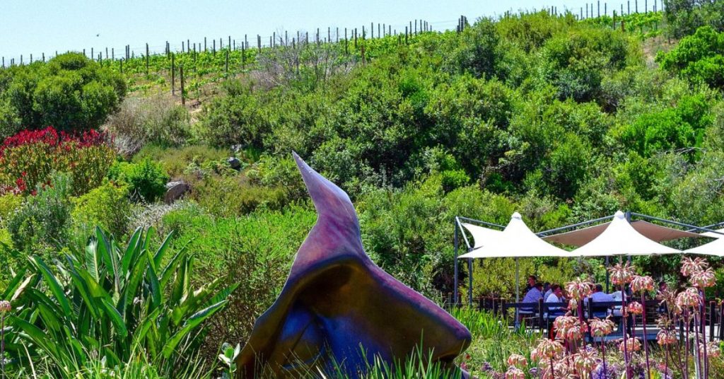 Best Wineries In South Africa You Should Not Miss