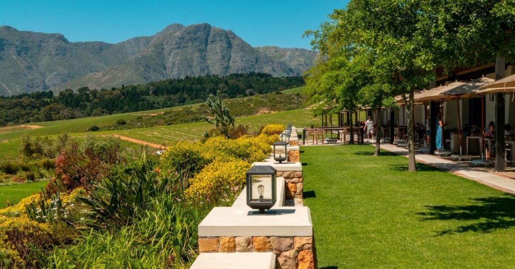 Best Wineries In South Africa You Should Not Miss