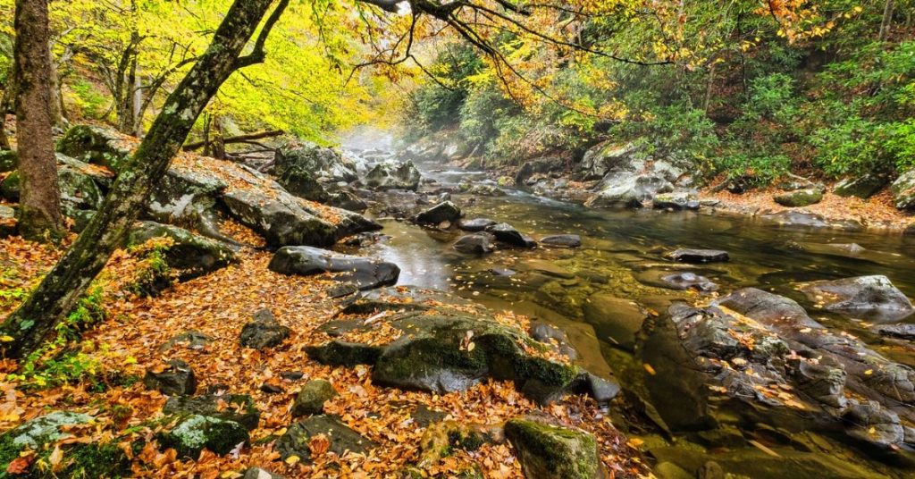 The Cades Cove Loop Road,