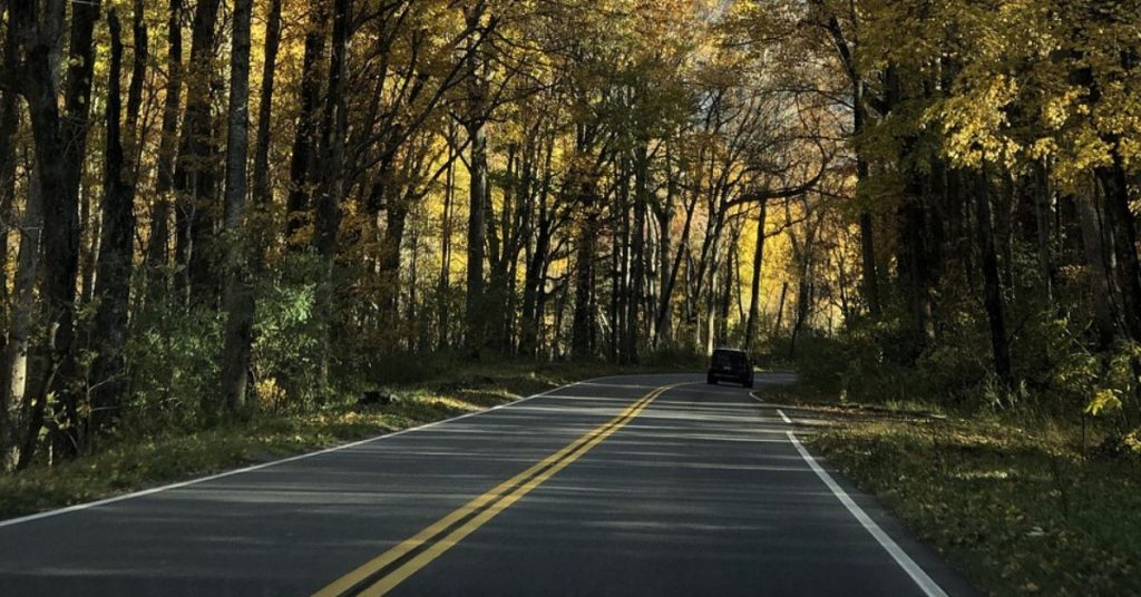 The Cades Cove Loop Road,