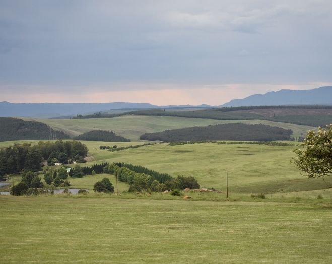 kwazulu natal